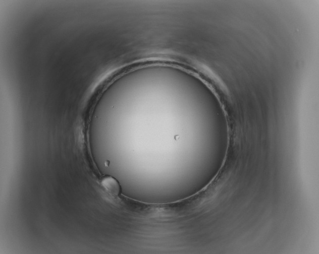 X0000112391360200908201534