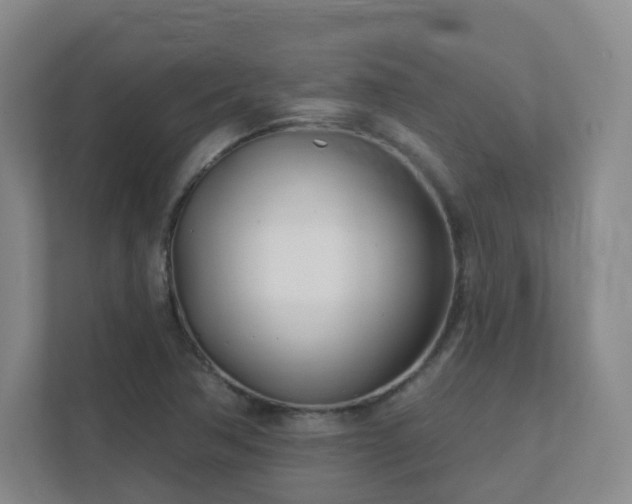 X0000112391362200908201534