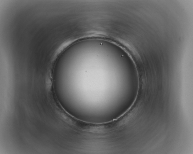 X0000112391363200908201534