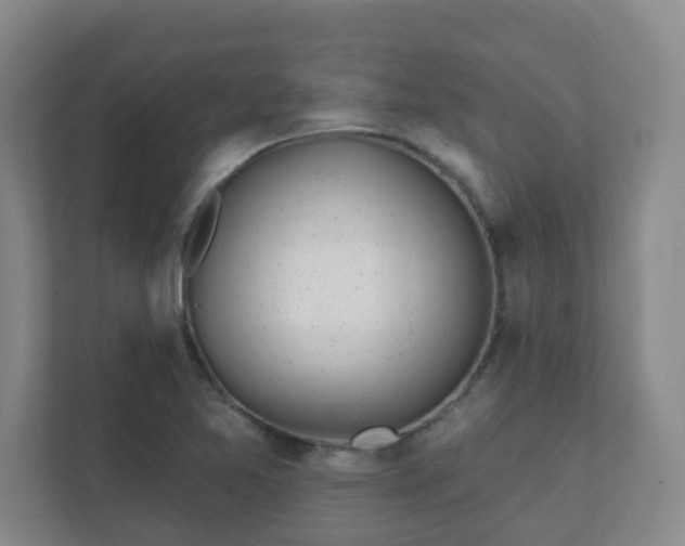 X0000112391365200908201534