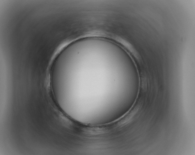 X0000112391366200908201534