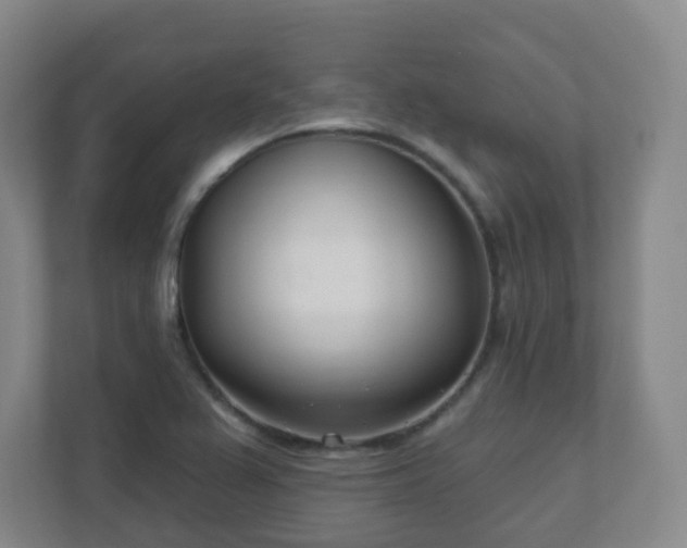 X0000112391367200908201534