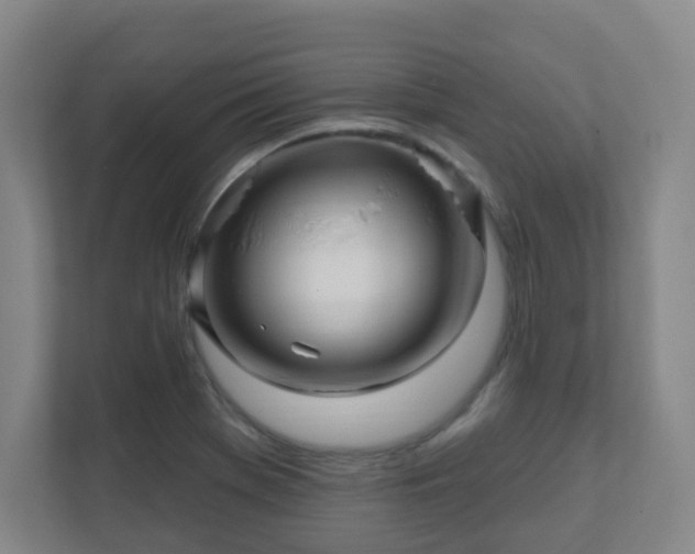 X0000112391369200908201534