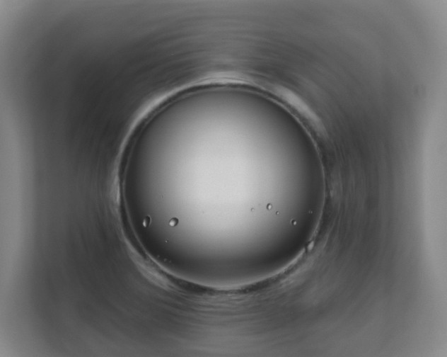 X0000112391372200908201534