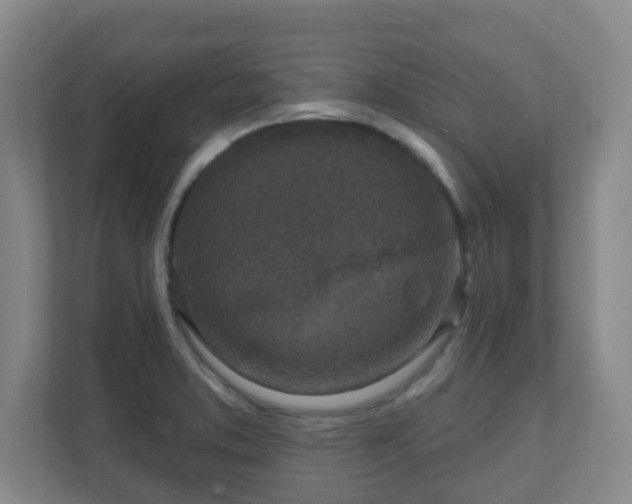 X0000112391373200908201534