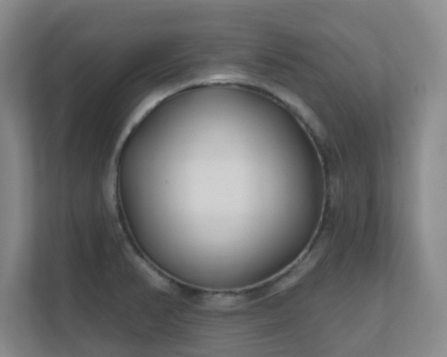 X0000112391374200908201534