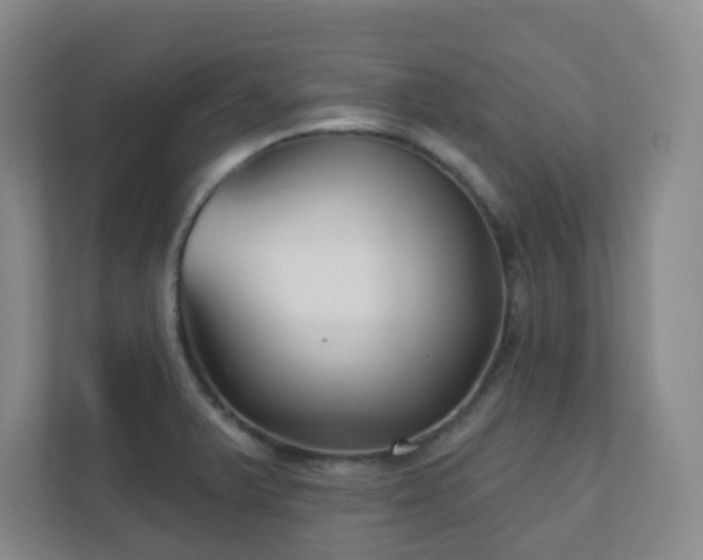 X0000112391375200908201534