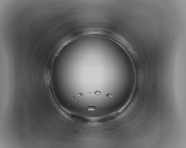 X0000112391377200908201533