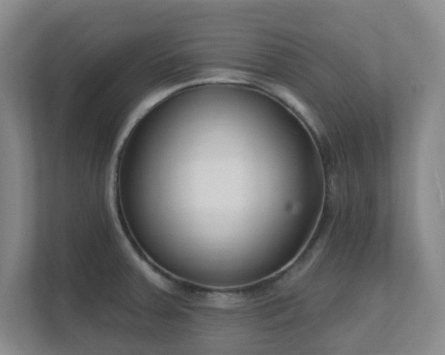 X0000112391379200908201533