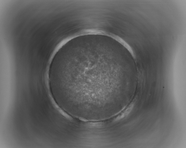 X0000112391381200908201533