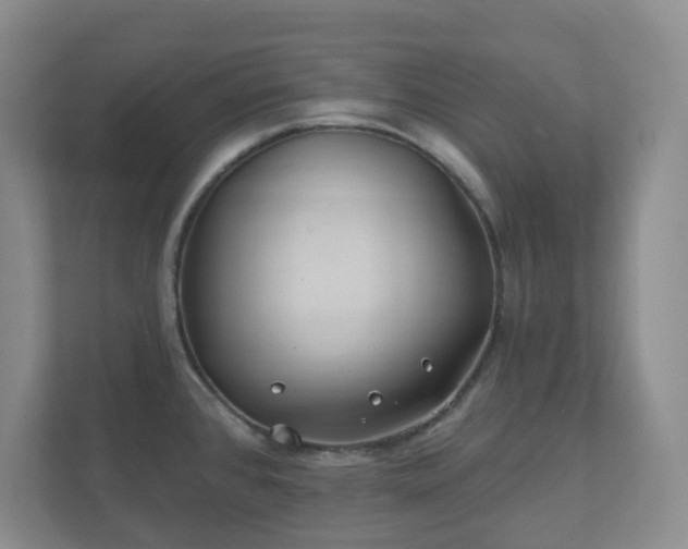 X0000112391384200908201533