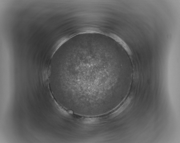 X0000112391385200908201533