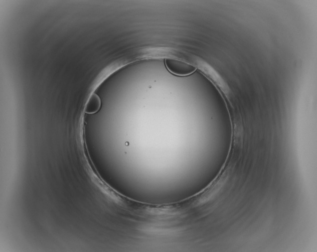 X0000112391386200908201533