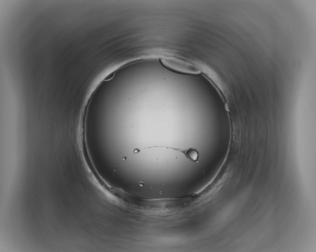 X0000112391387200908201533