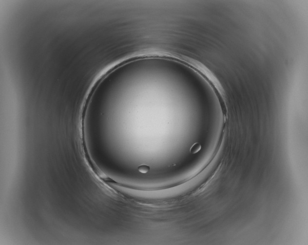 X0000112391388200908201533