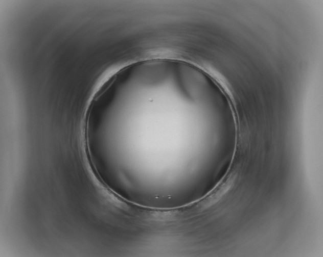 X0000112391389200908201533