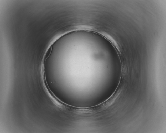 X0000112391391200908201533