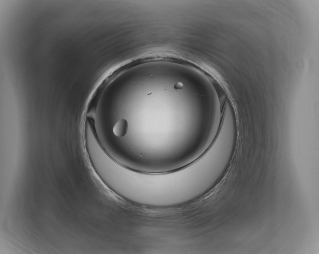 X0000112391392200908201533