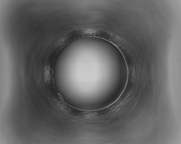 X0000112391394200908201533