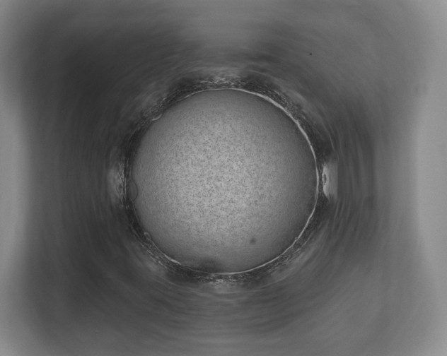 X0000112391395200908201533