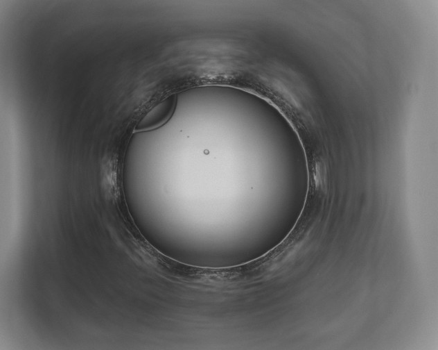 X0000112391396200908201533