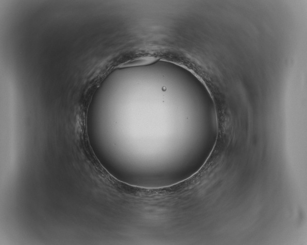 X0000112391397200908201533