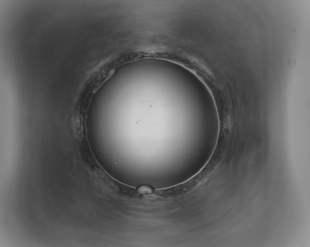 X0000112391398200908201533