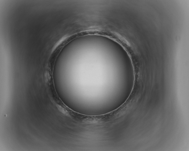 X0000112391400200908201533