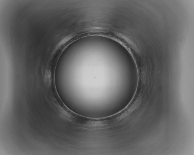 X0000112391402200908201533