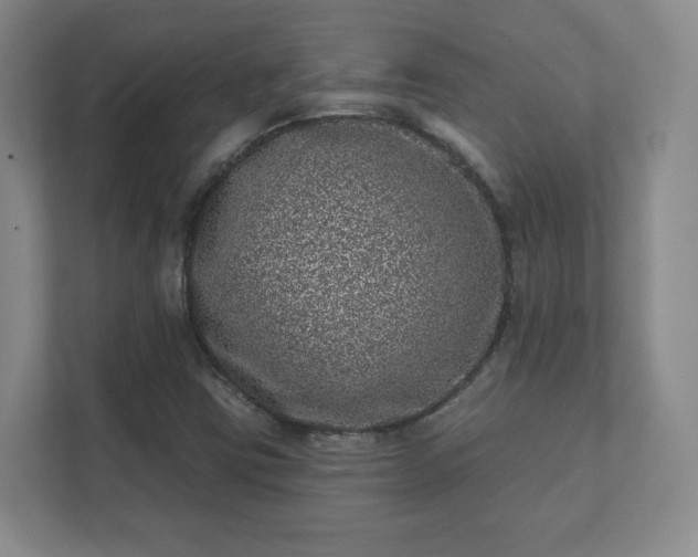 X0000112391403200908201533