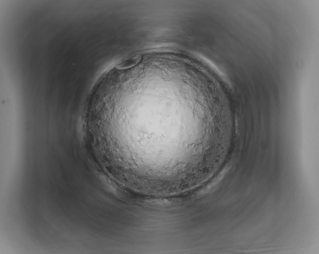 X0000112391405200908201533