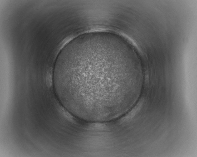 X0000112391409200908201533