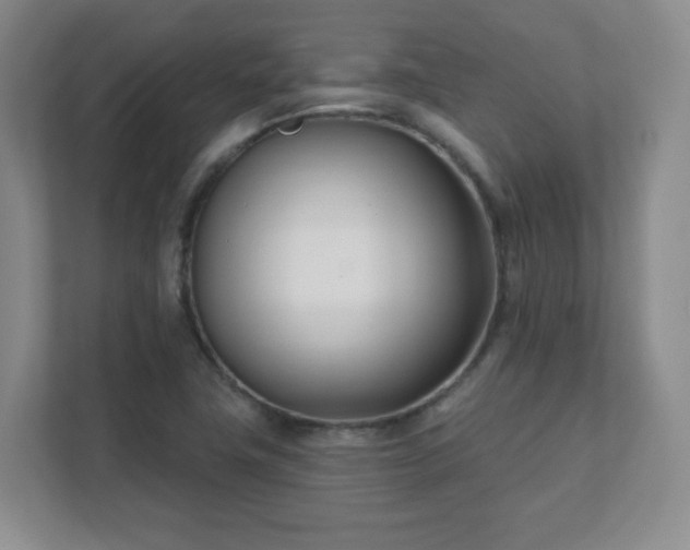 X0000112391411200908201533