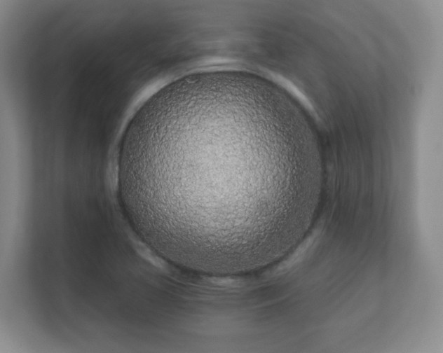 X0000112391413200908201533