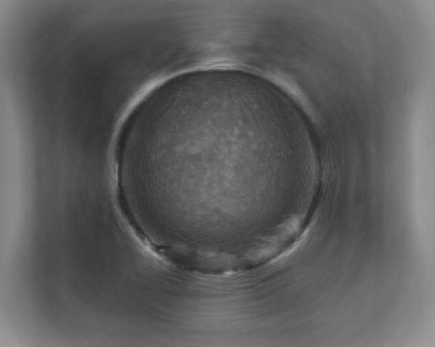 X0000112391414200908201533