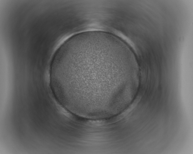 X0000112391415200908201533