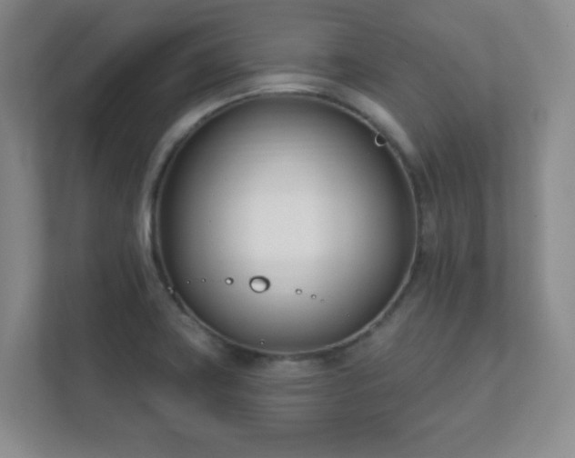 X0000112391419200908201533