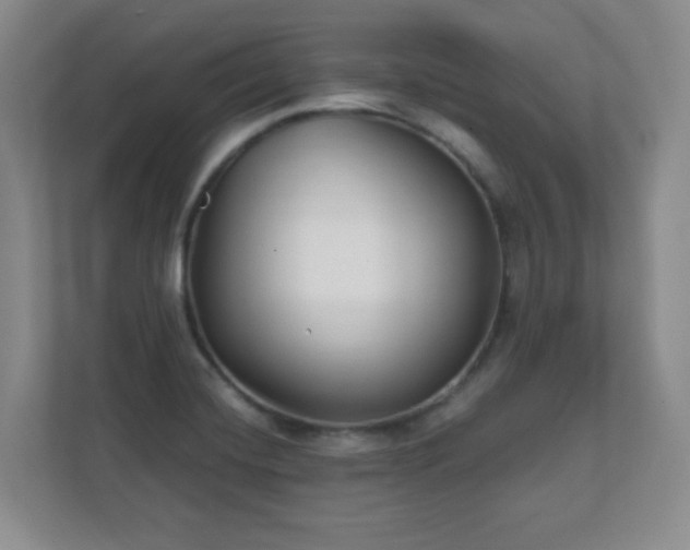 X0000112391420200908201533