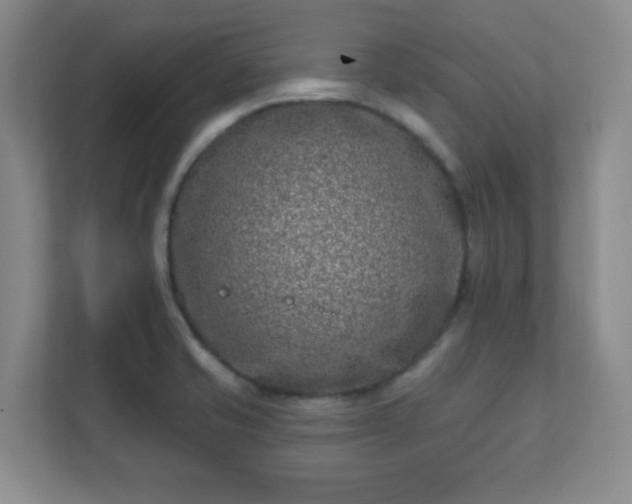 X0000112391421200908201533