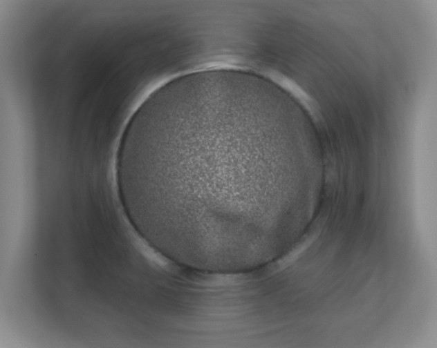 X0000112391423200908201533