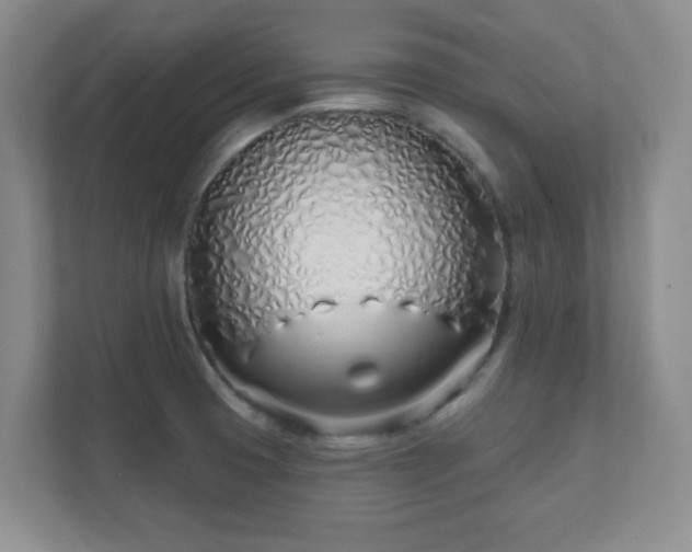 X0000112391425200908201533