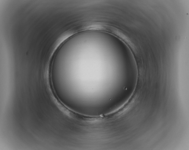 X0000112391426200908201533