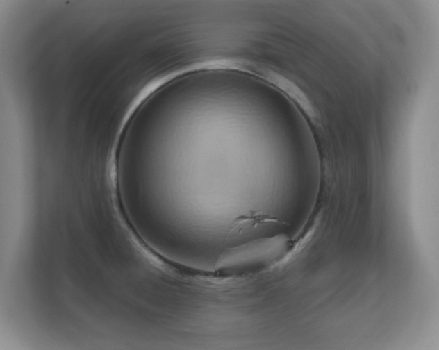 X0000112391428200908201533