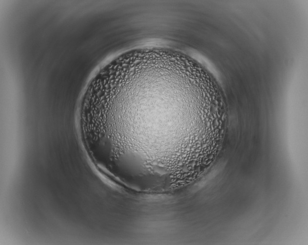 X0000112391429200908201533