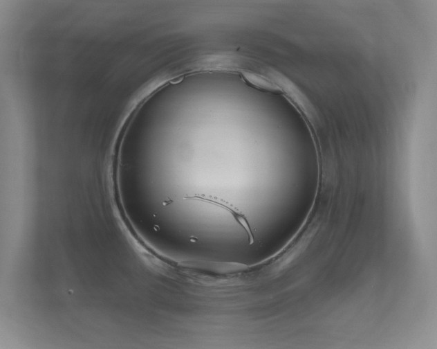 X0000112391434200908201533