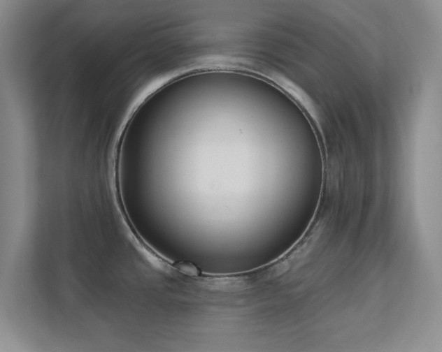 X0000112391437200908201533