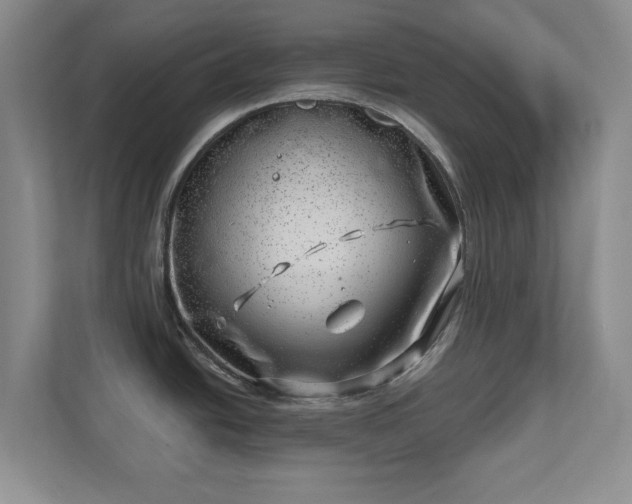 X0000112391438200908201533