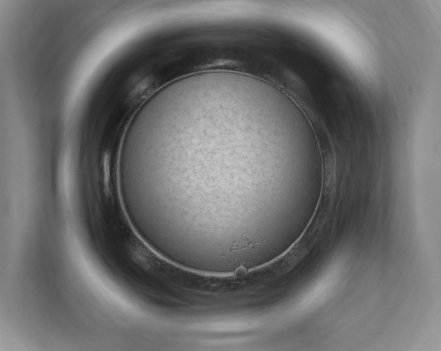 X0000112391439200908201533