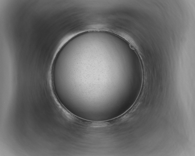 X0000112391440200908201533