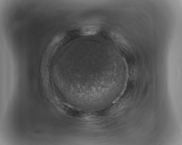 X0000112391441200908201533